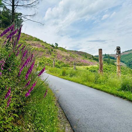Traumwohnung Mit Sauna, Whirlpool & Wunderschoener Aussicht 普莱滕贝格 外观 照片